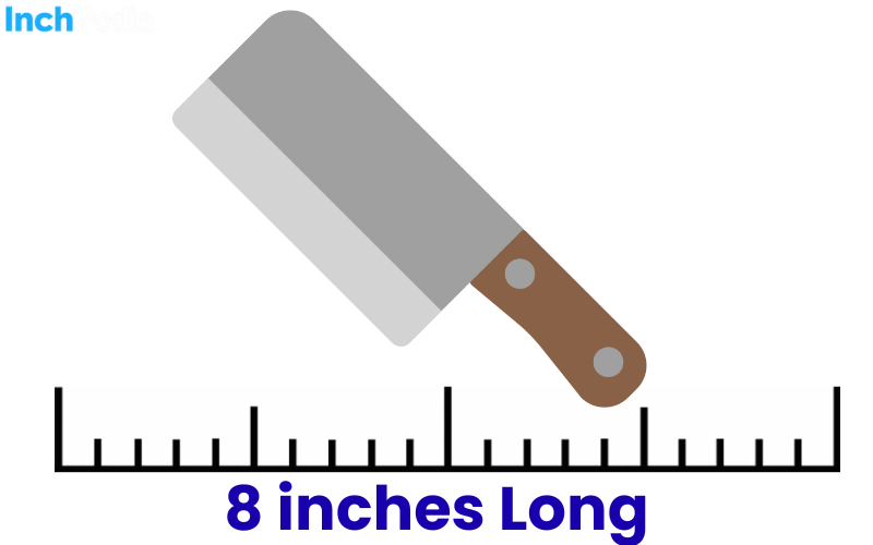How Long Is 8 Inches