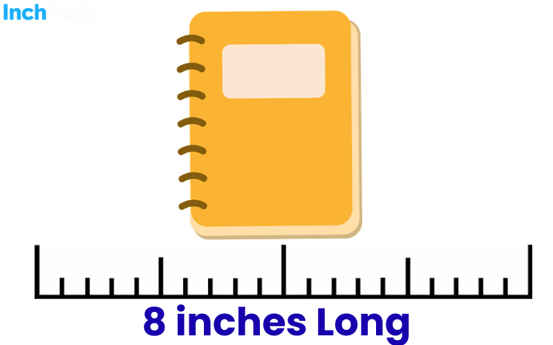 How Long Is 8 Inches