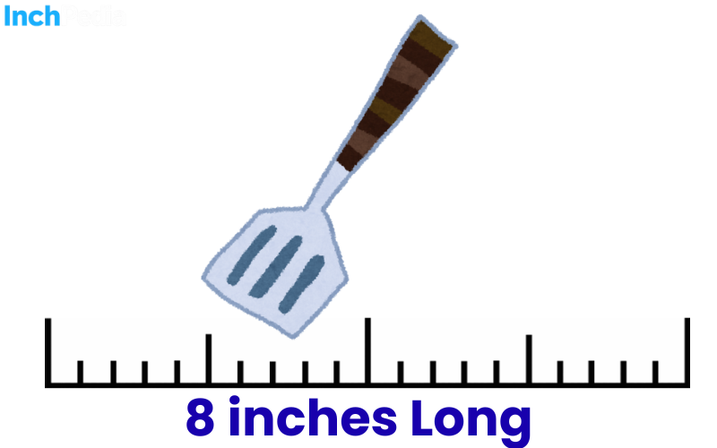How Long Is 8 Inches