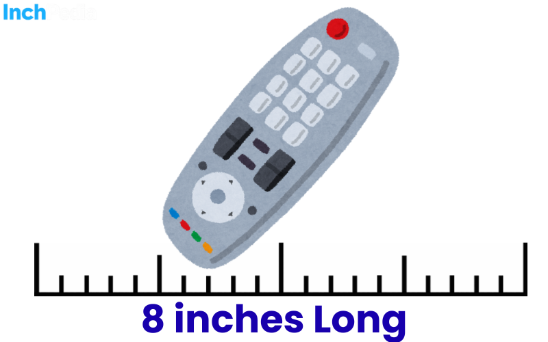How Long Is 8 Inches