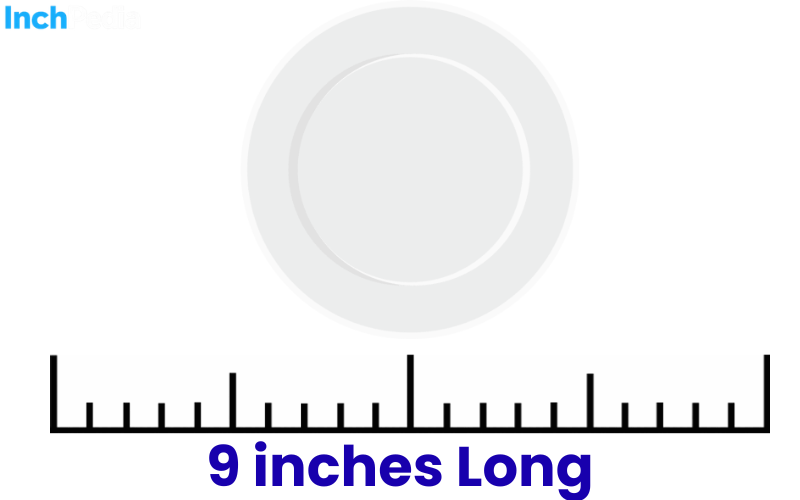 How Long Is 9 Inches