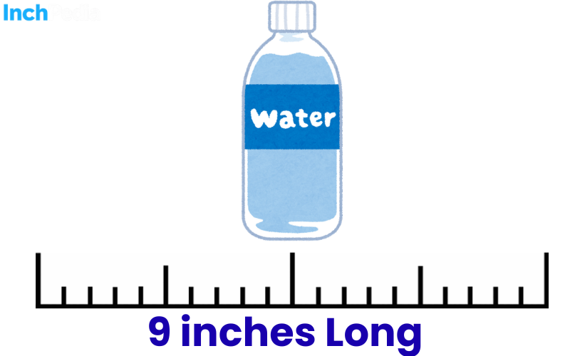 How Long Is 9 Inches