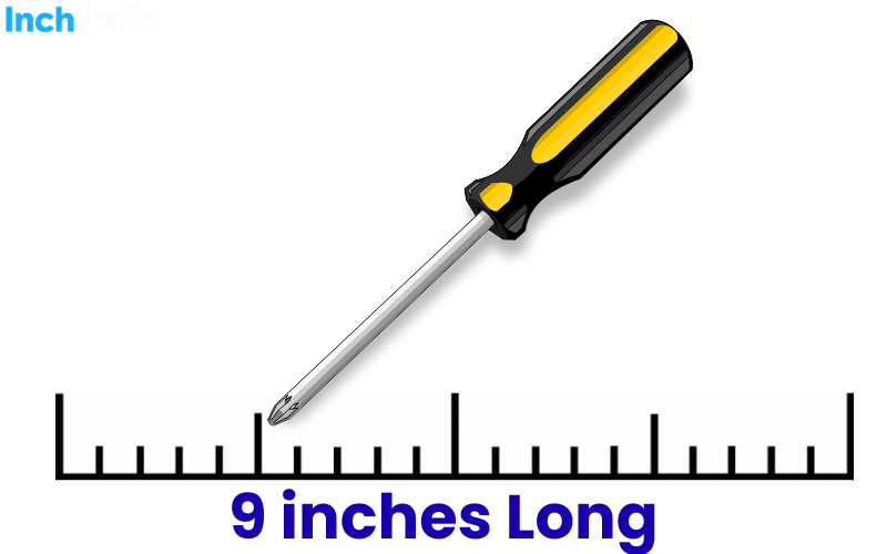 How Long Is 9 Inches