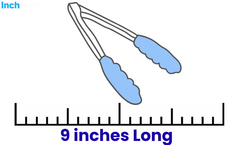 How Long Is 9 Inches