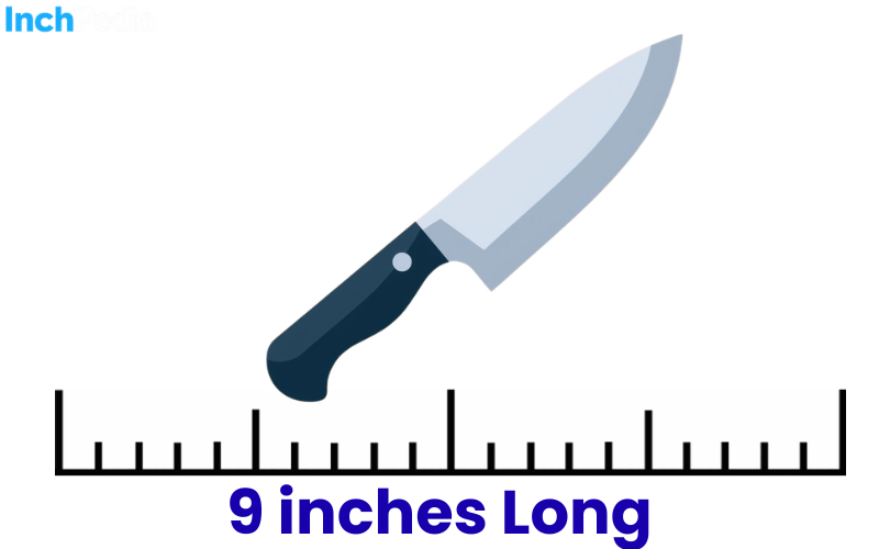 How Long Is 9 Inches