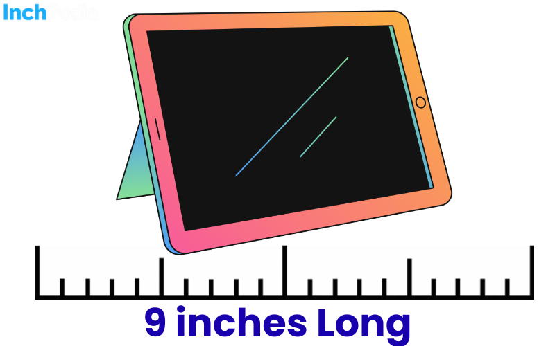 How Long Is 9 Inches