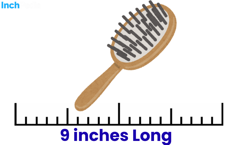 How Long Is 9 Inches