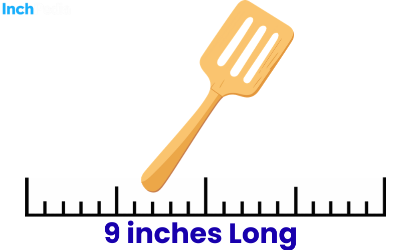 How Long Is 9 Inches