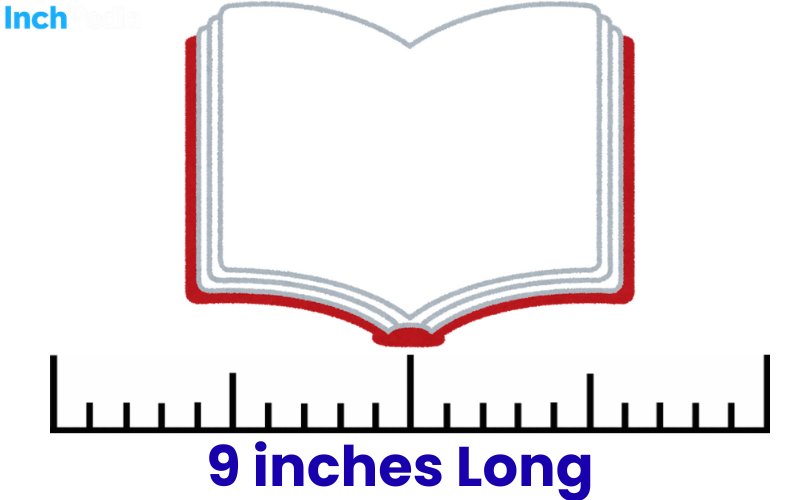 How Long Is 9 Inches