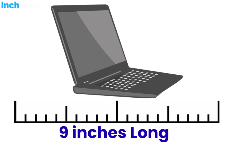 How Long Is 9 Inches
