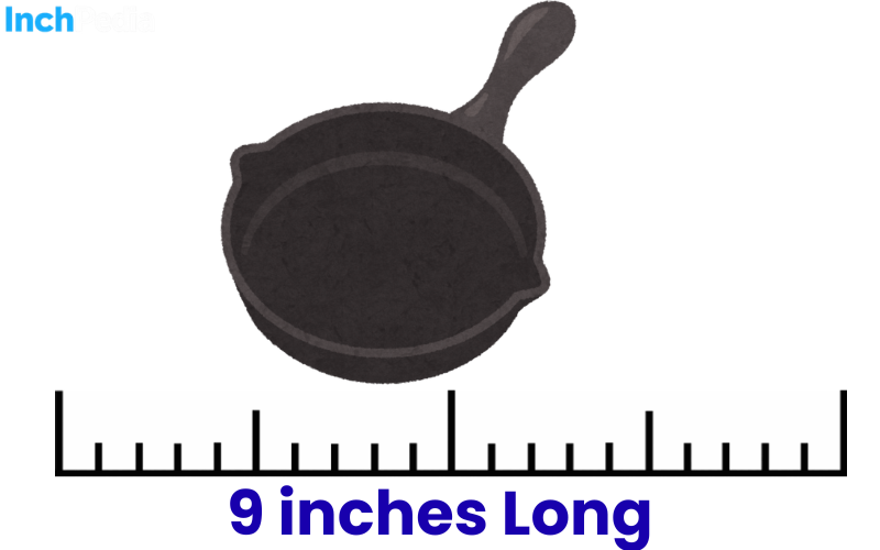 How Long Is 9 Inches