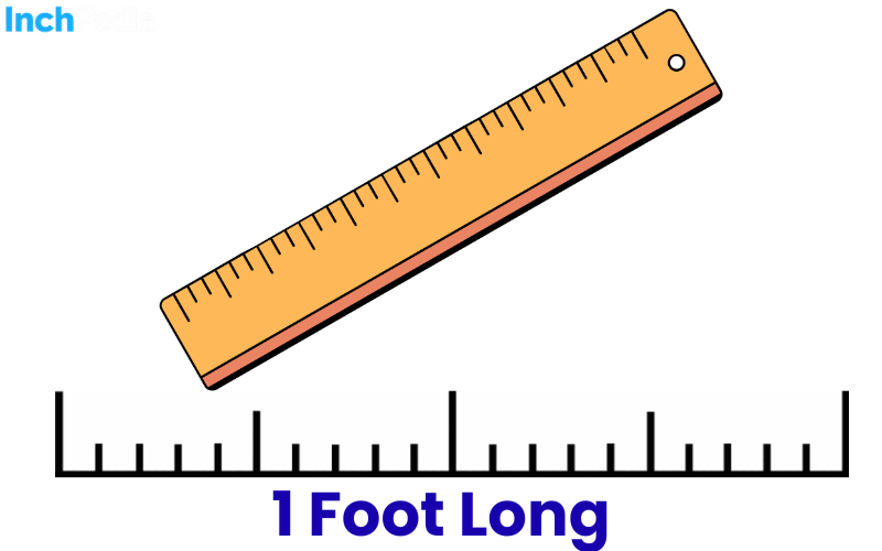 How Long Is A Foot