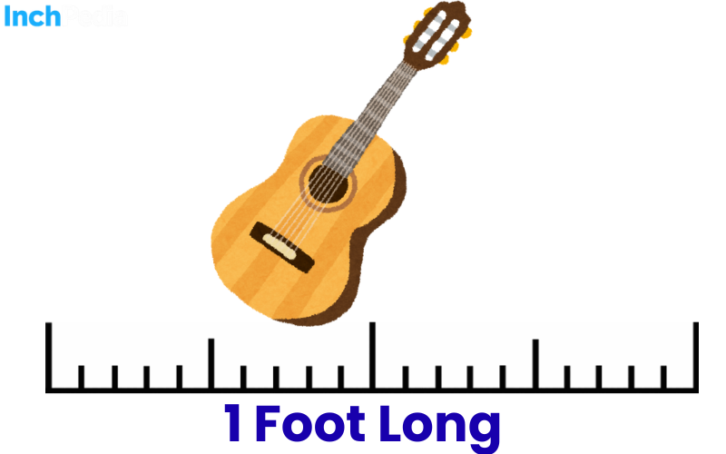 How Long Is A Foot