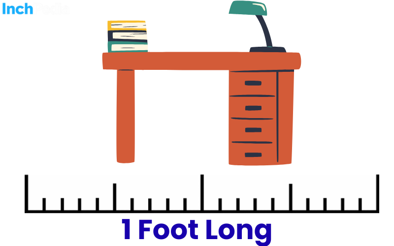 How Long Is A Foot