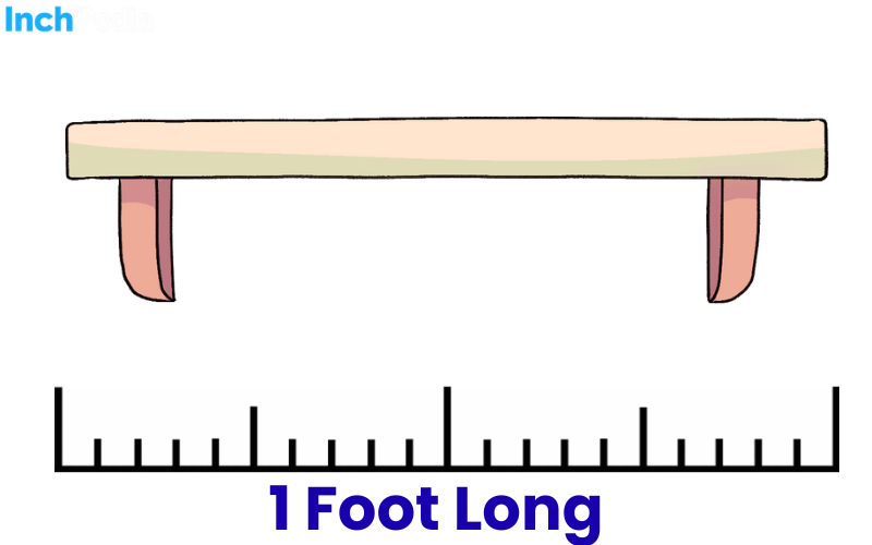 How Long Is A Foot