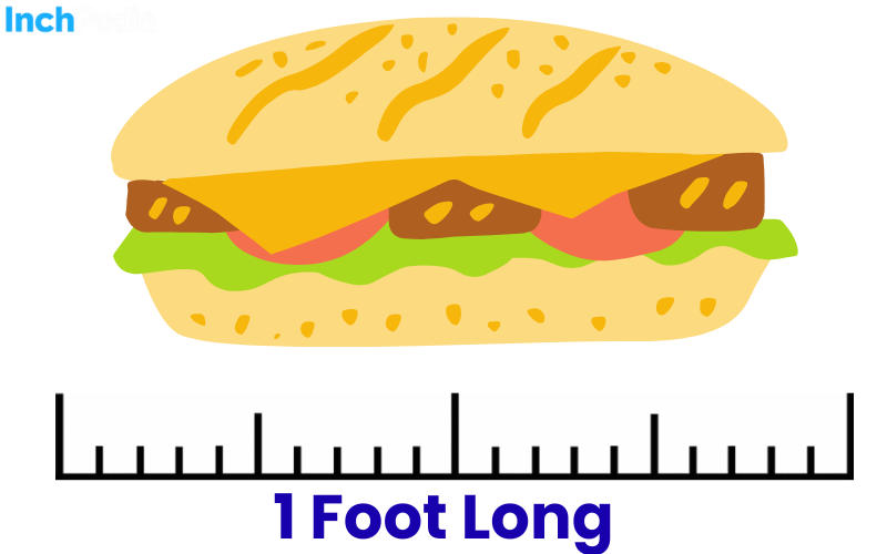 How Long Is A Foot