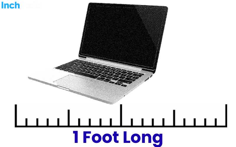 How Long Is A Foot