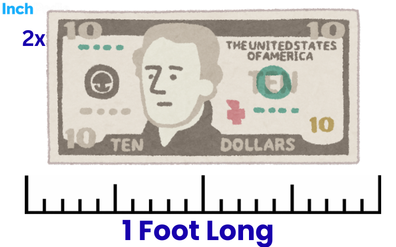 How Long Is A Foot