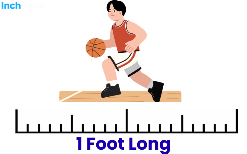 How Long Is A Foot