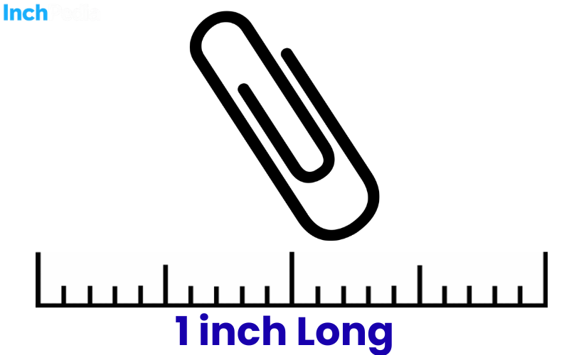 How Long Is an Inch