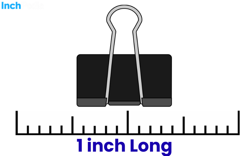 How Long Is an Inch
