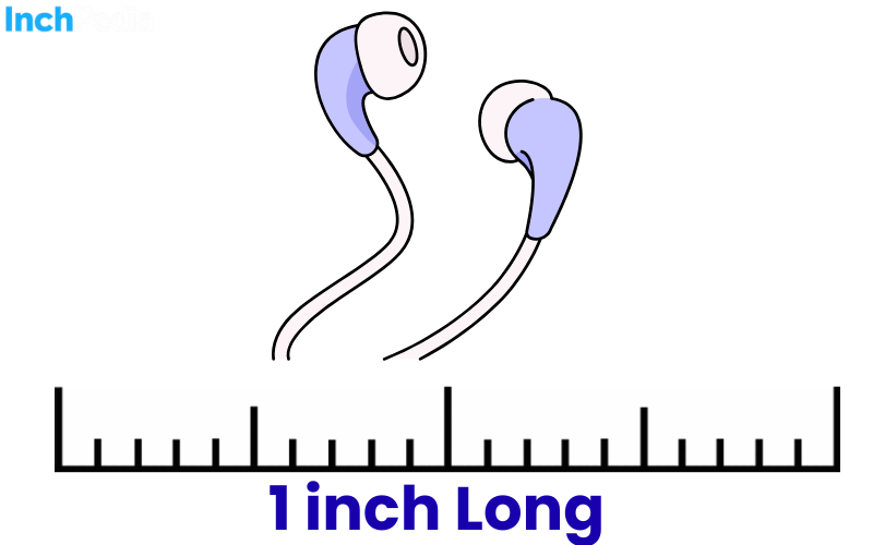 How Long Is an Inch
