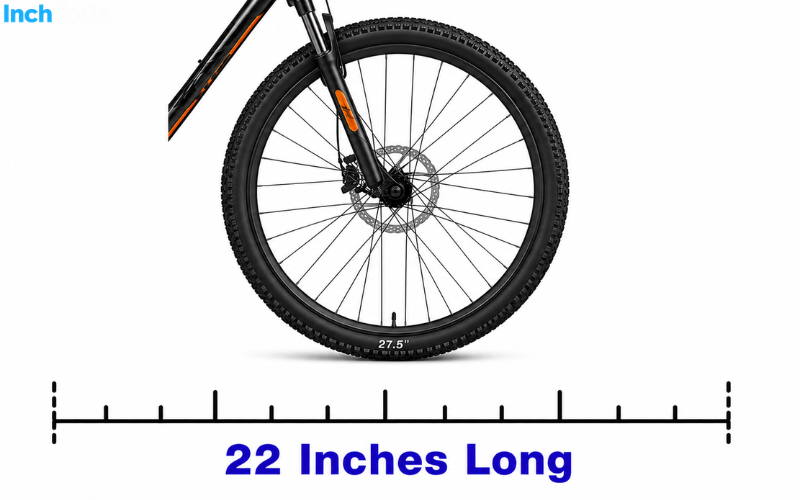How Long Is 22 Inches