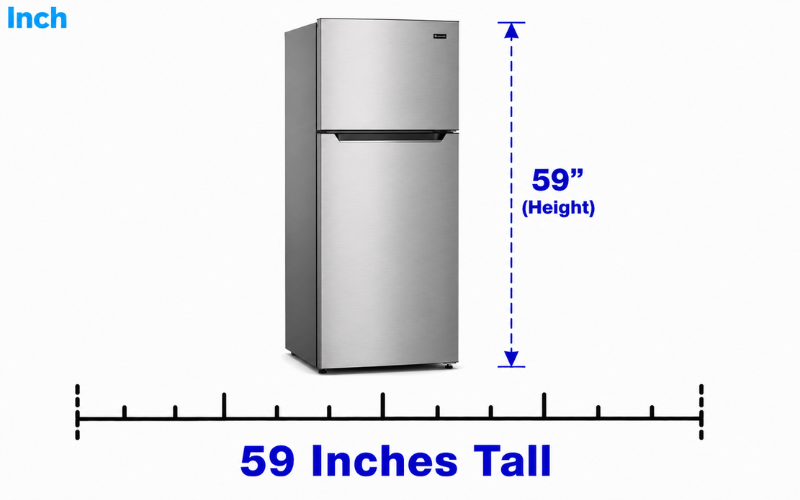 How Tall Is 59 Inches