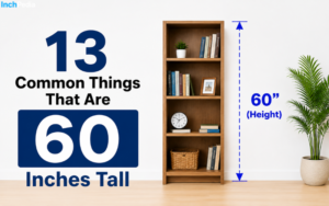 How Tall Is 60 Inches