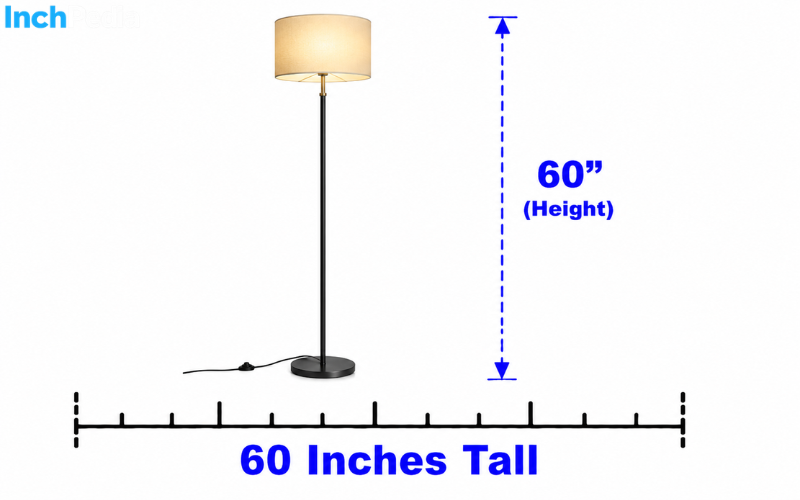 How Tall Is 60 Inches