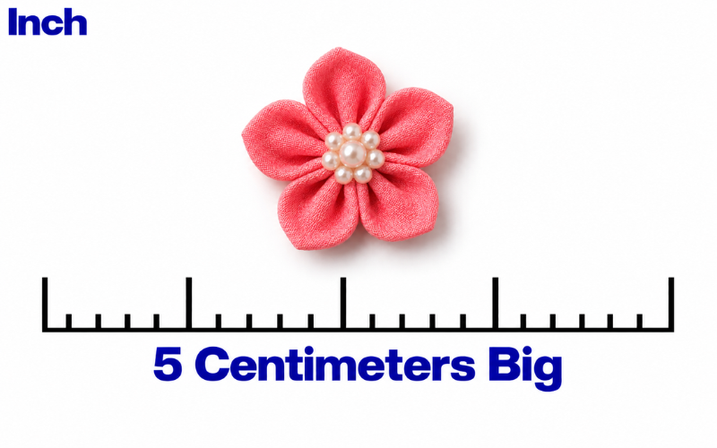 How Big Is 5 Cm